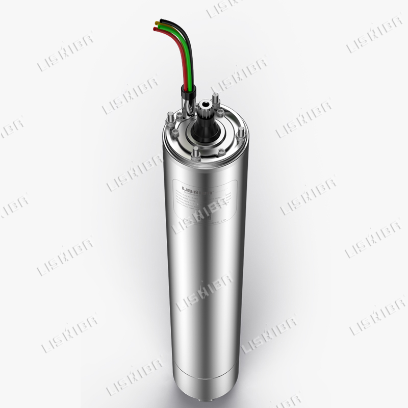 力士霸泵業(yè)詳解什么是潛水電機?(圖1) 力士霸泵業(yè)詳解什么是潛水電機?(圖1)