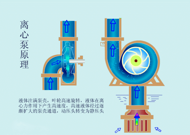 科普之離心泵啟動(dòng)時(shí)，出口閥門必須關(guān)閉嗎？(圖2)